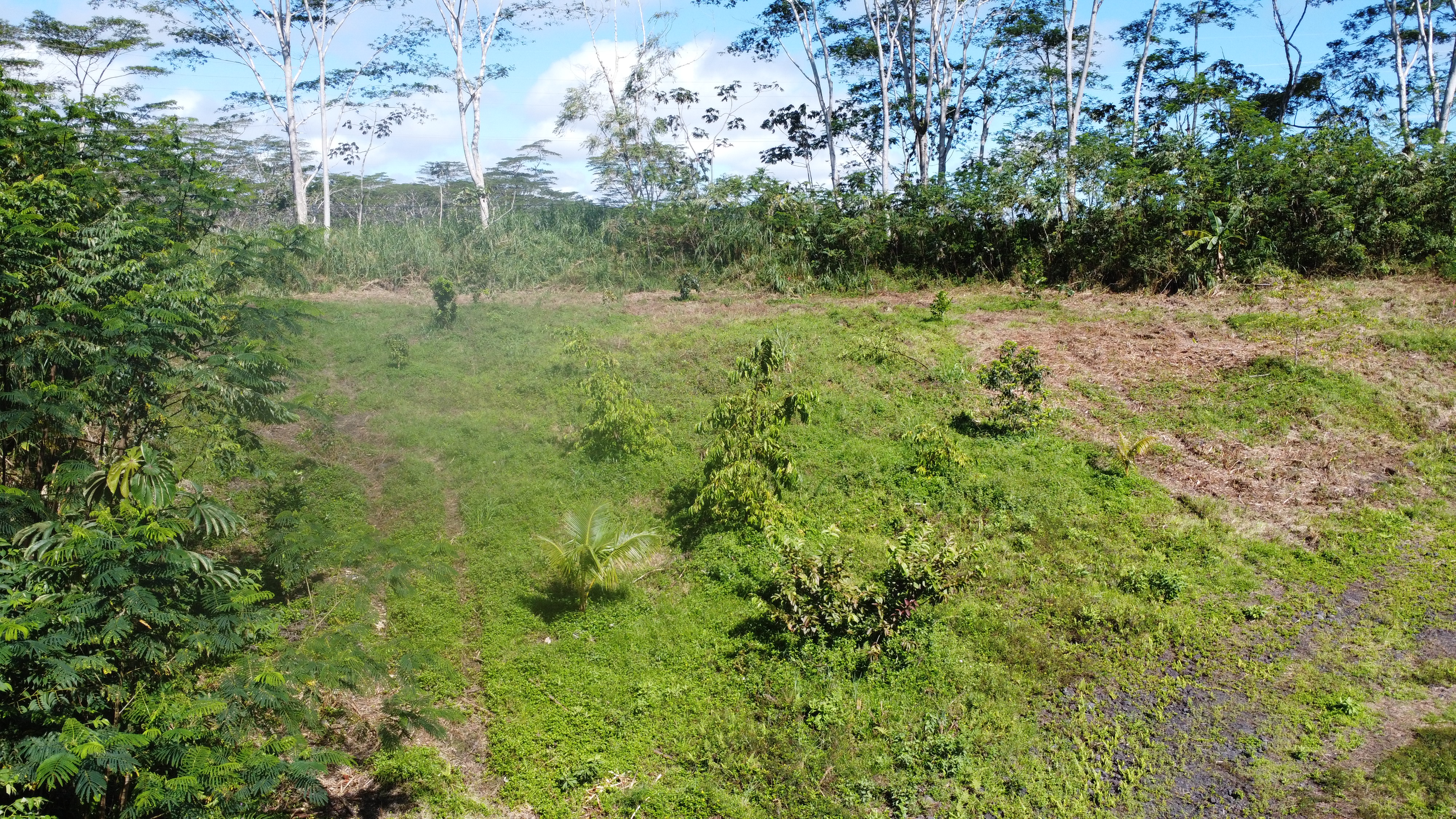Kapoho Rd Property Photo 8