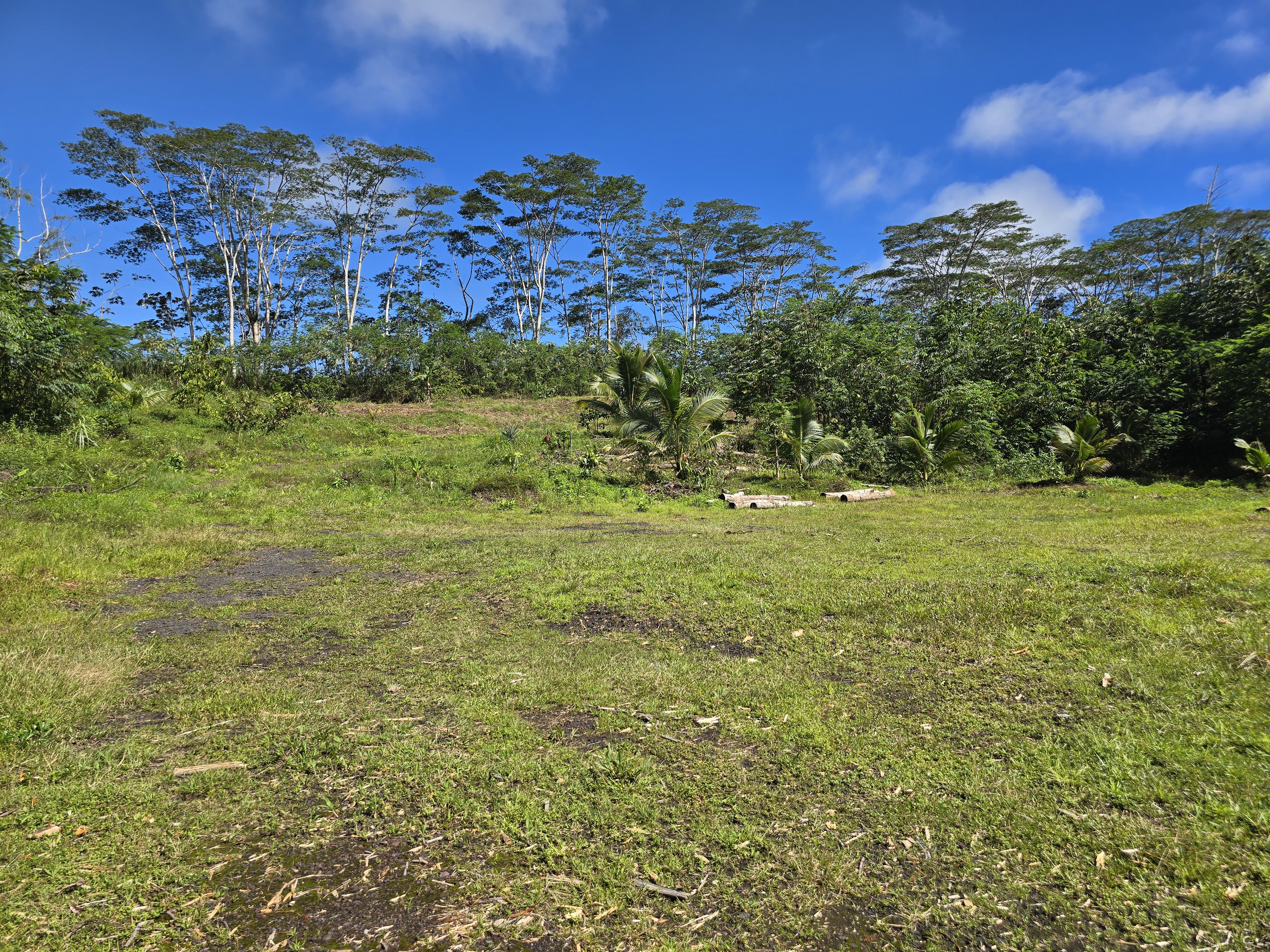 Kapoho Rd Property Photo 9