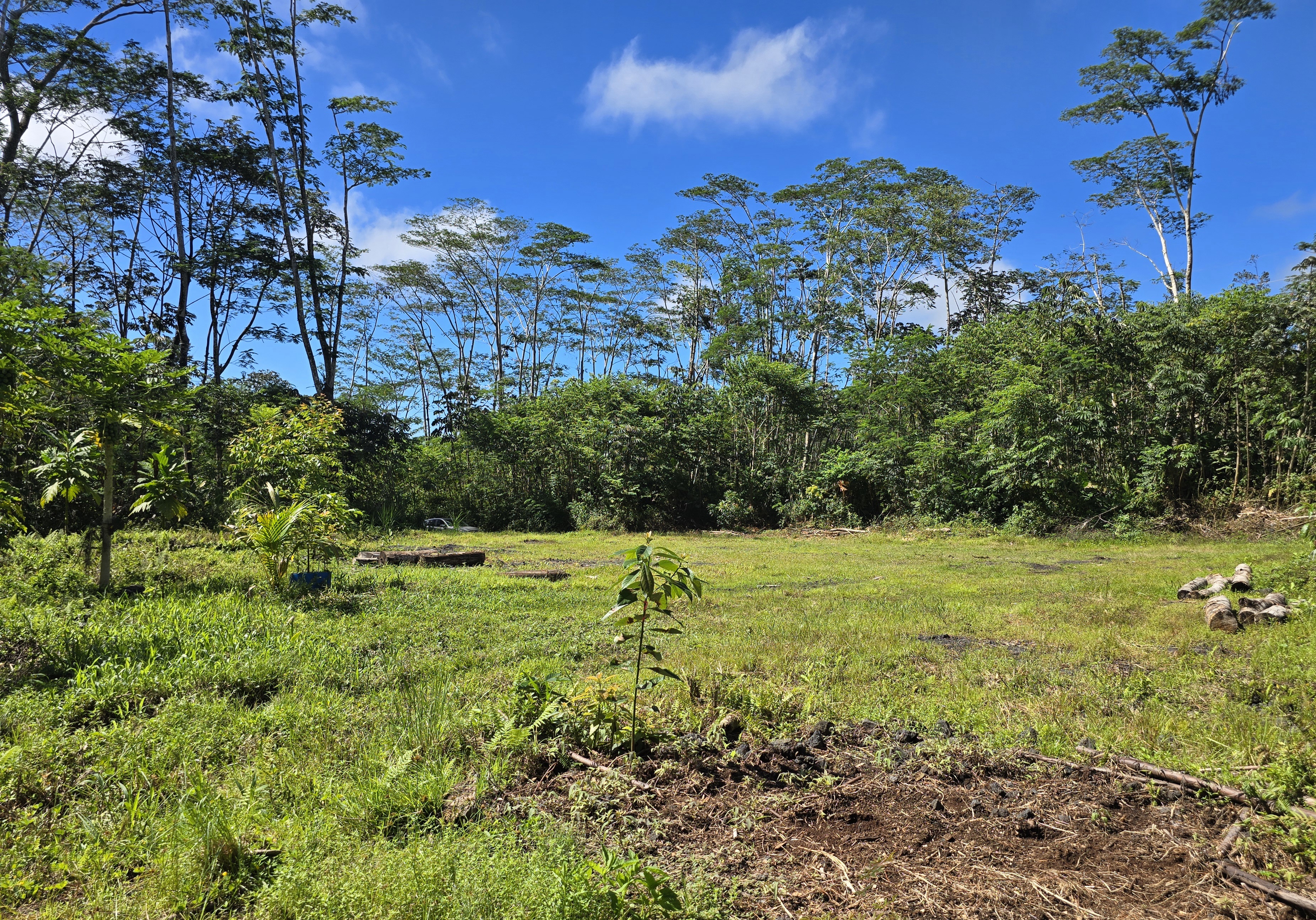 Kapoho Rd Property Photo 10