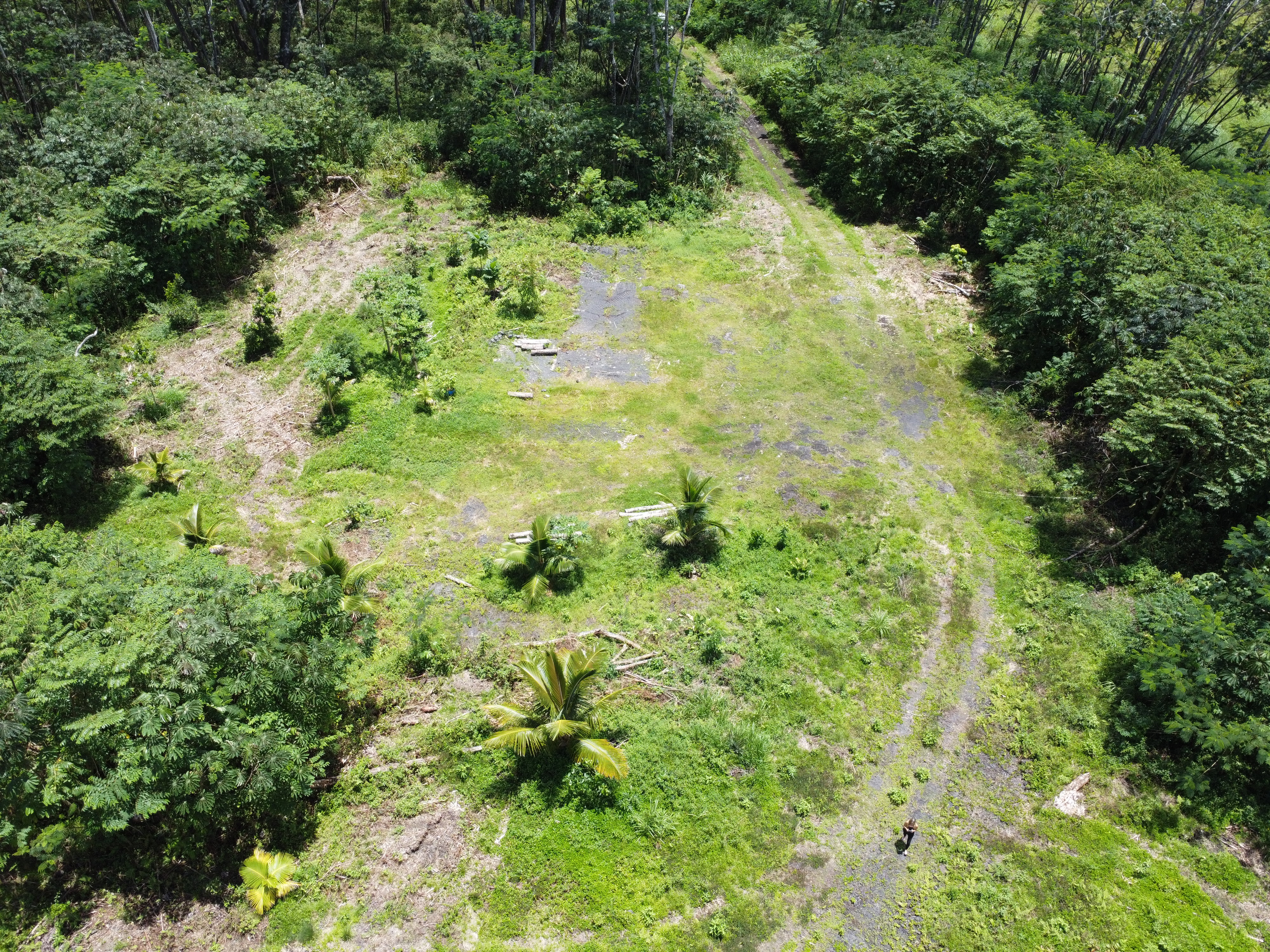 Kapoho Rd Property Photo 11
