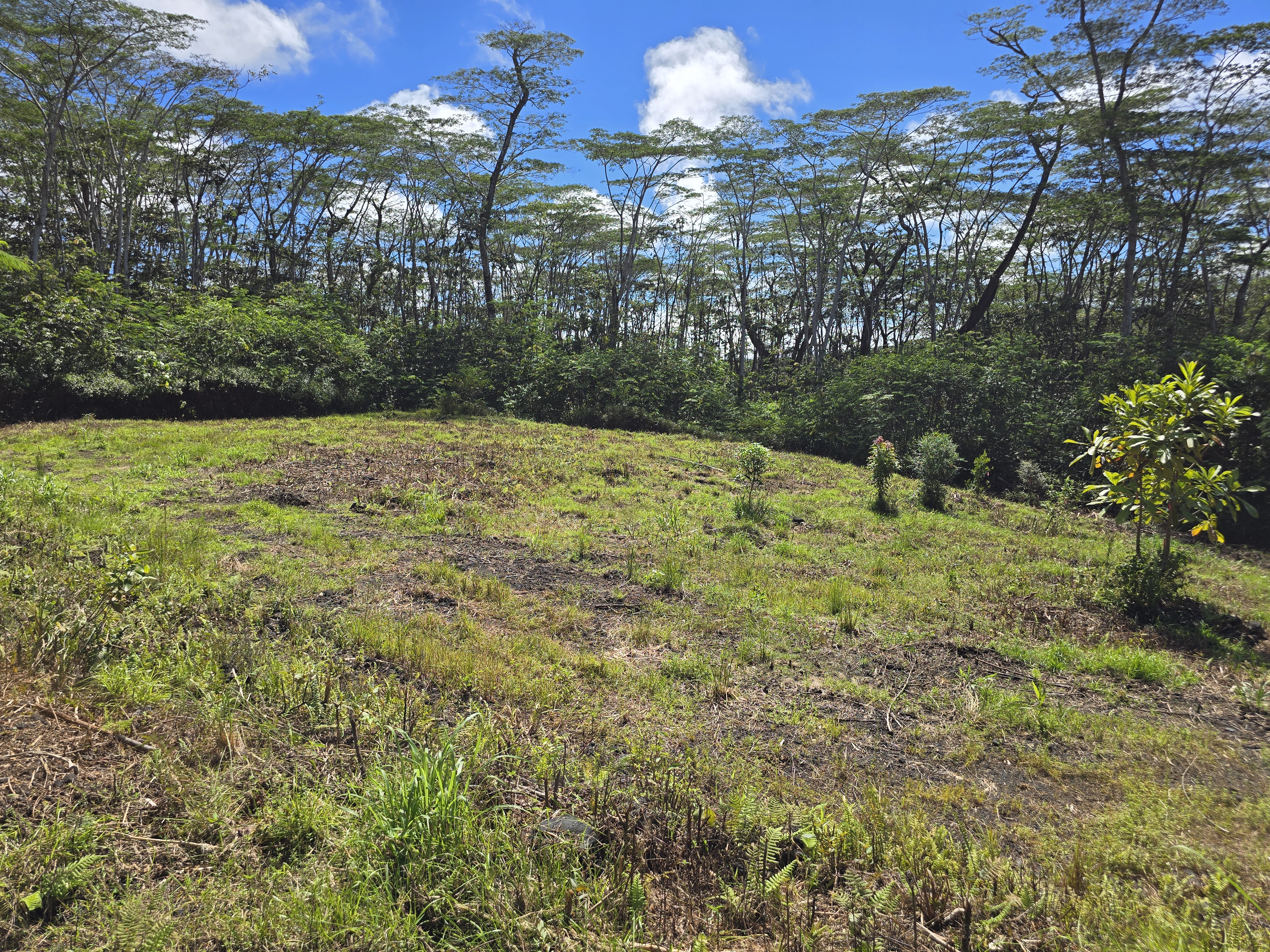 Kapoho Rd Property Photo 12