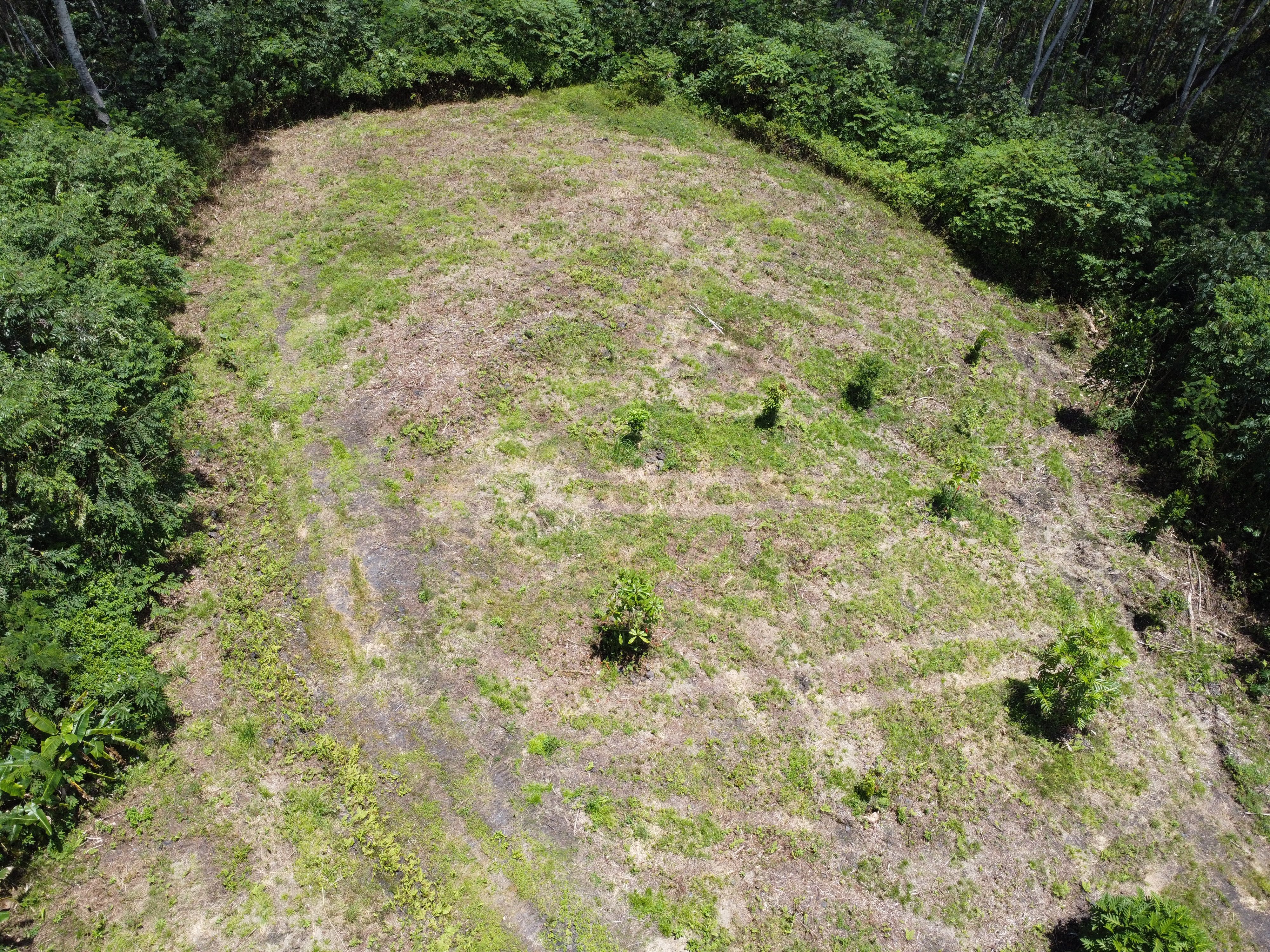 Kapoho Rd Property Photo 13