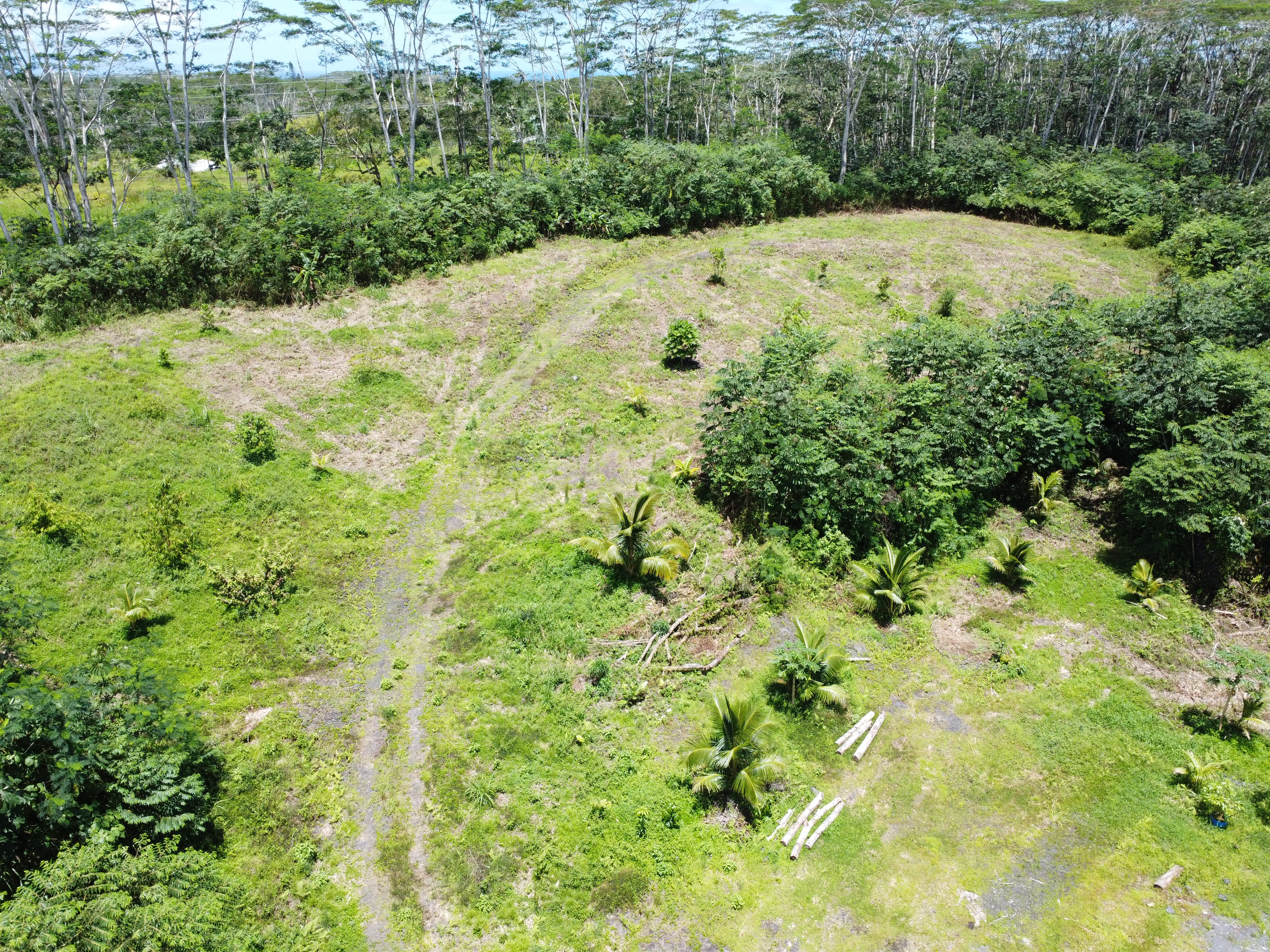 Kapoho Rd Property Photo 15