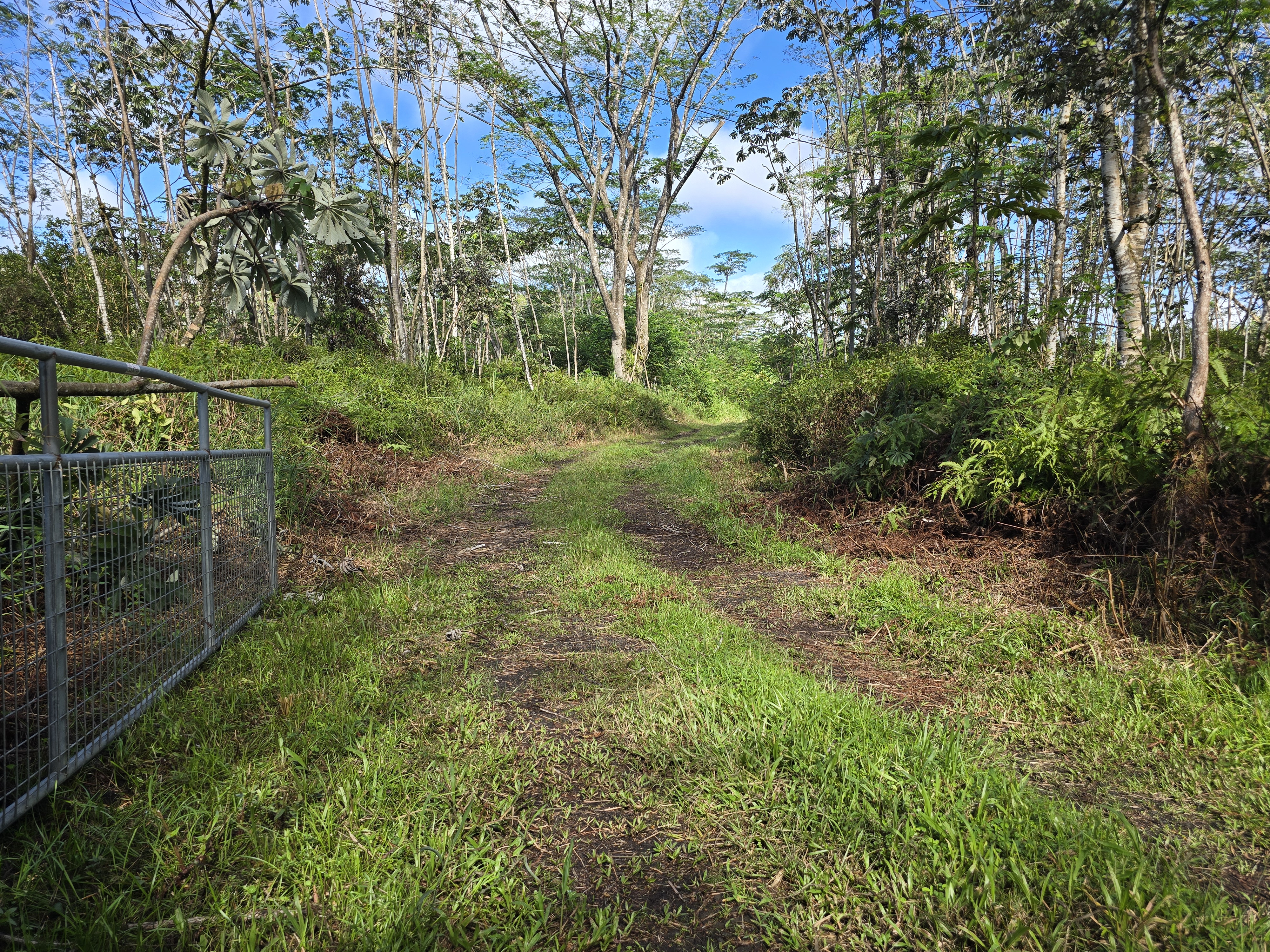 Kapoho Rd Property Photo 18