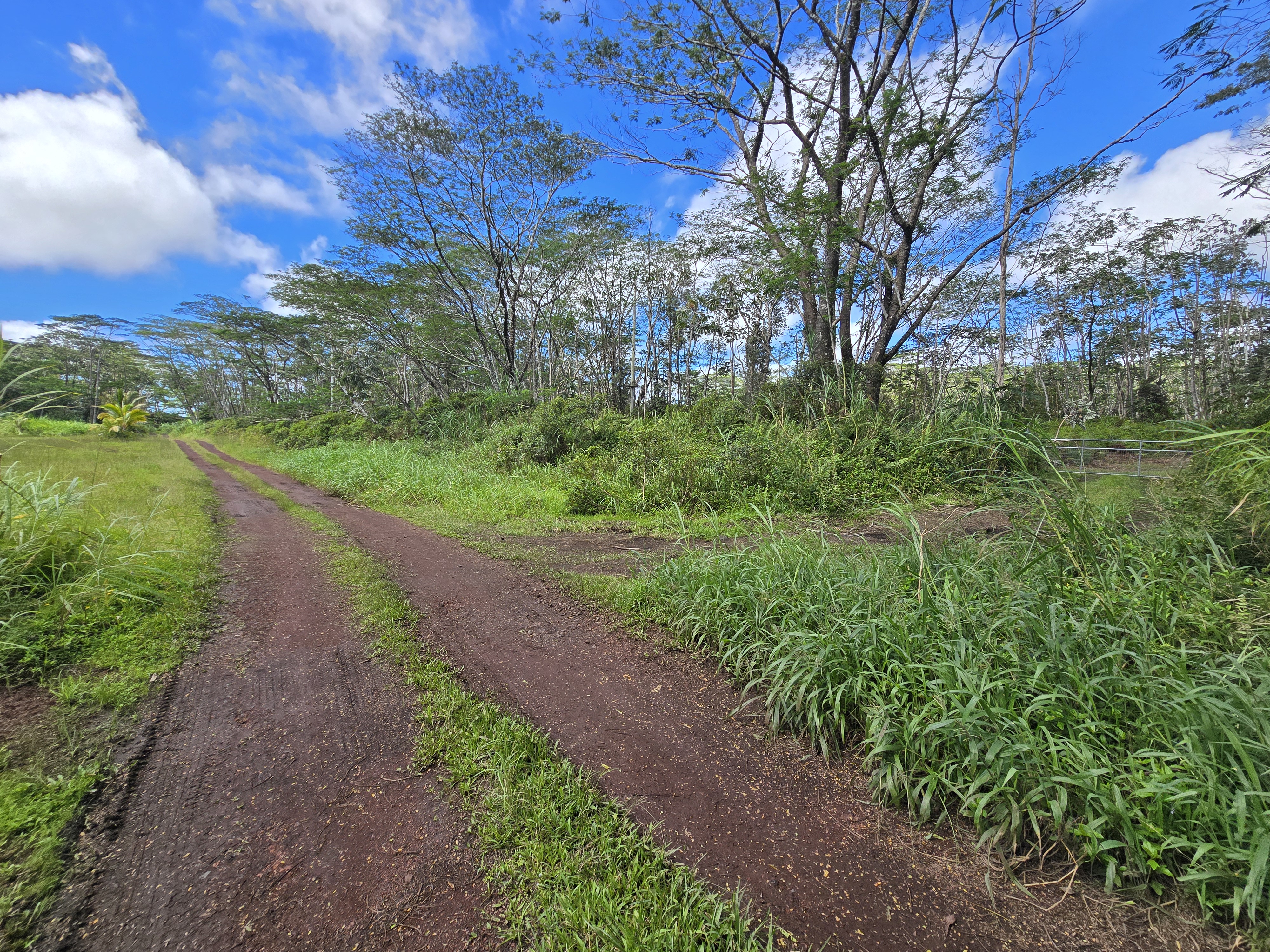 Kapoho Rd Property Photo 19