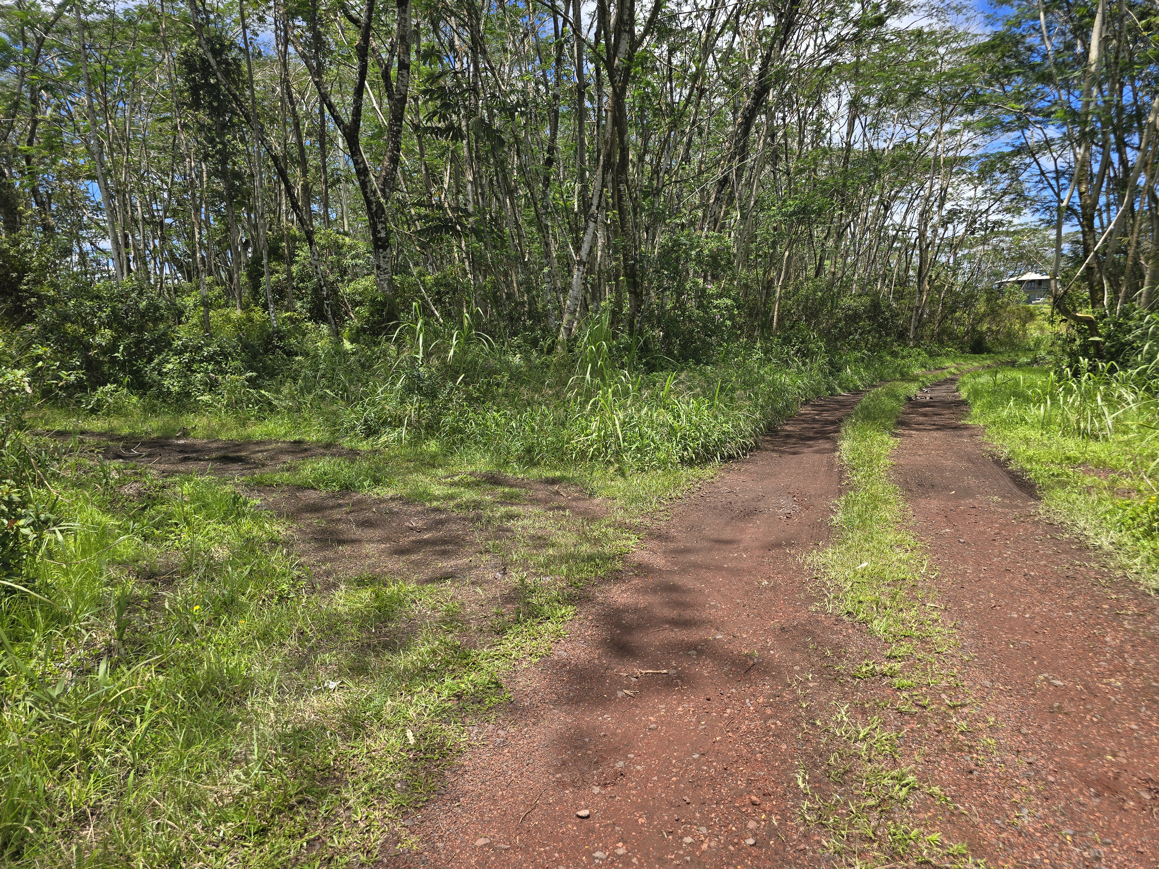 Kapoho Rd Property Photo 20