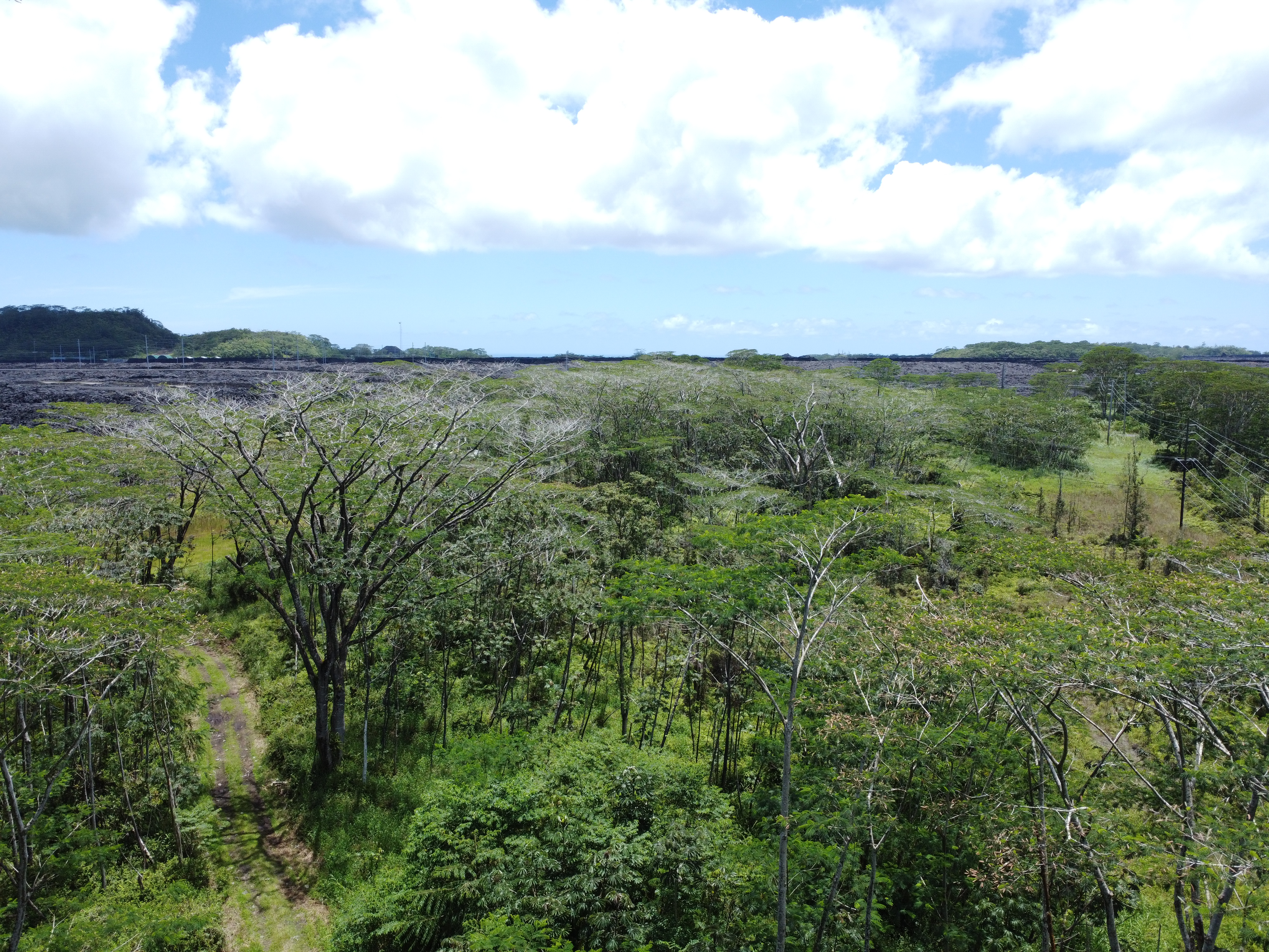 Kapoho Rd Property Photo 22