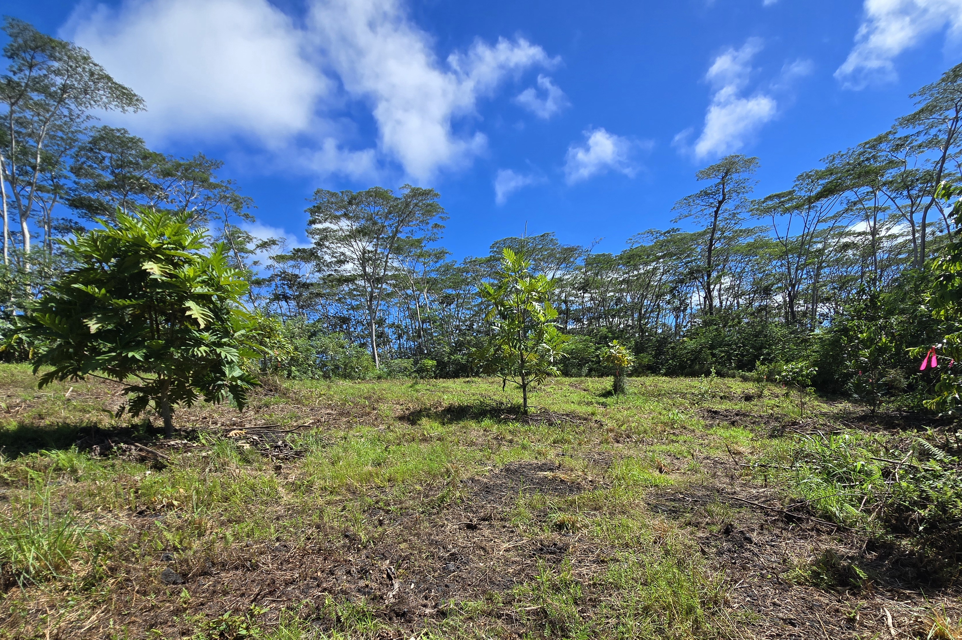 Kapoho Rd Property Photo 23
