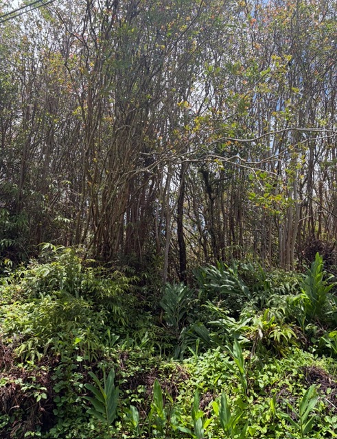 Huleia Pl Property Photo 1