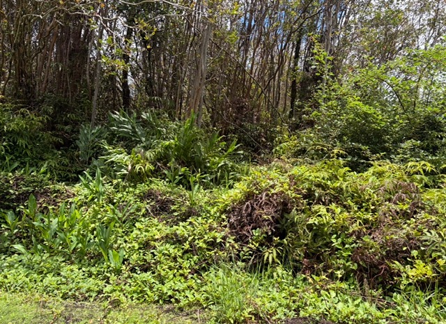 Huleia Pl Property Photo 4