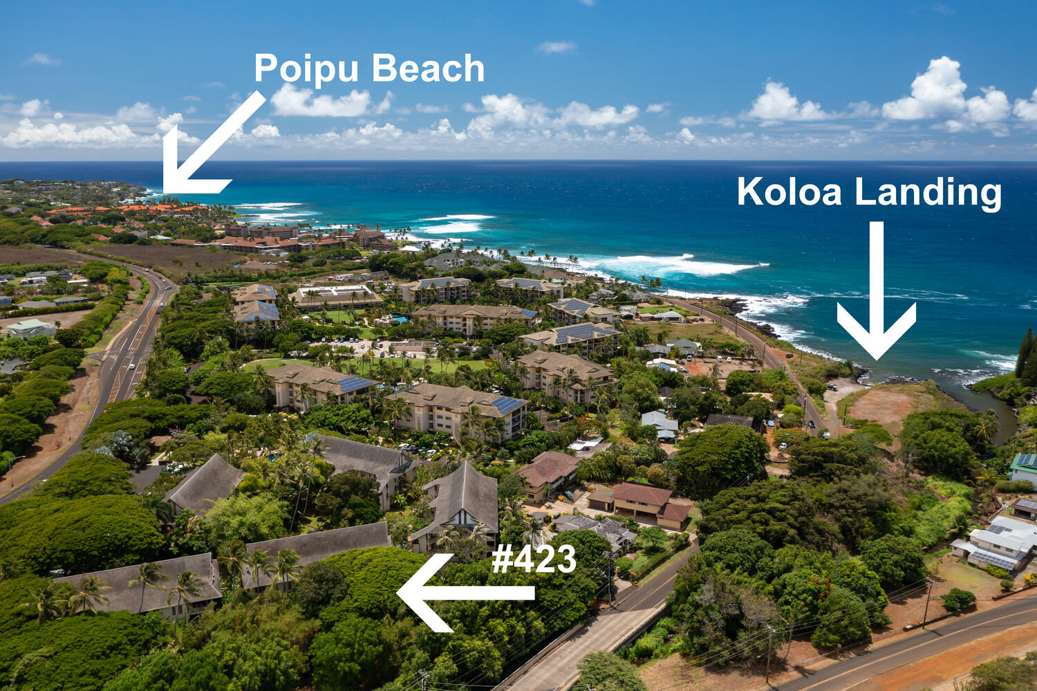 2721 Poipu Rd 423 Property Photo 2
