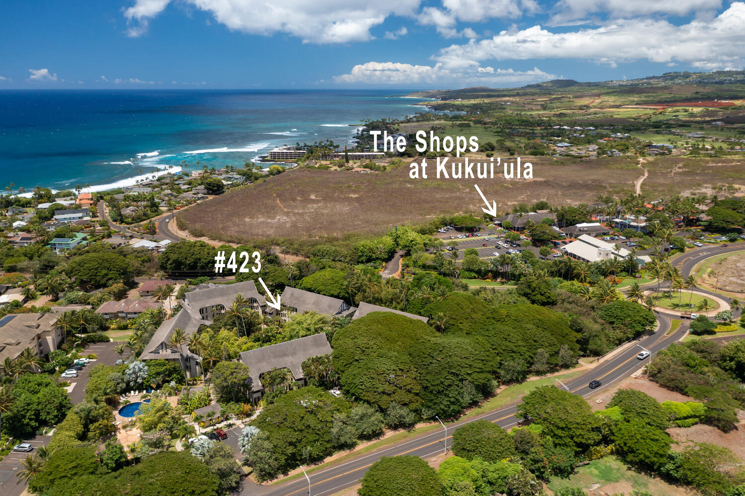 2721 Poipu Rd 423 Property Photo 25