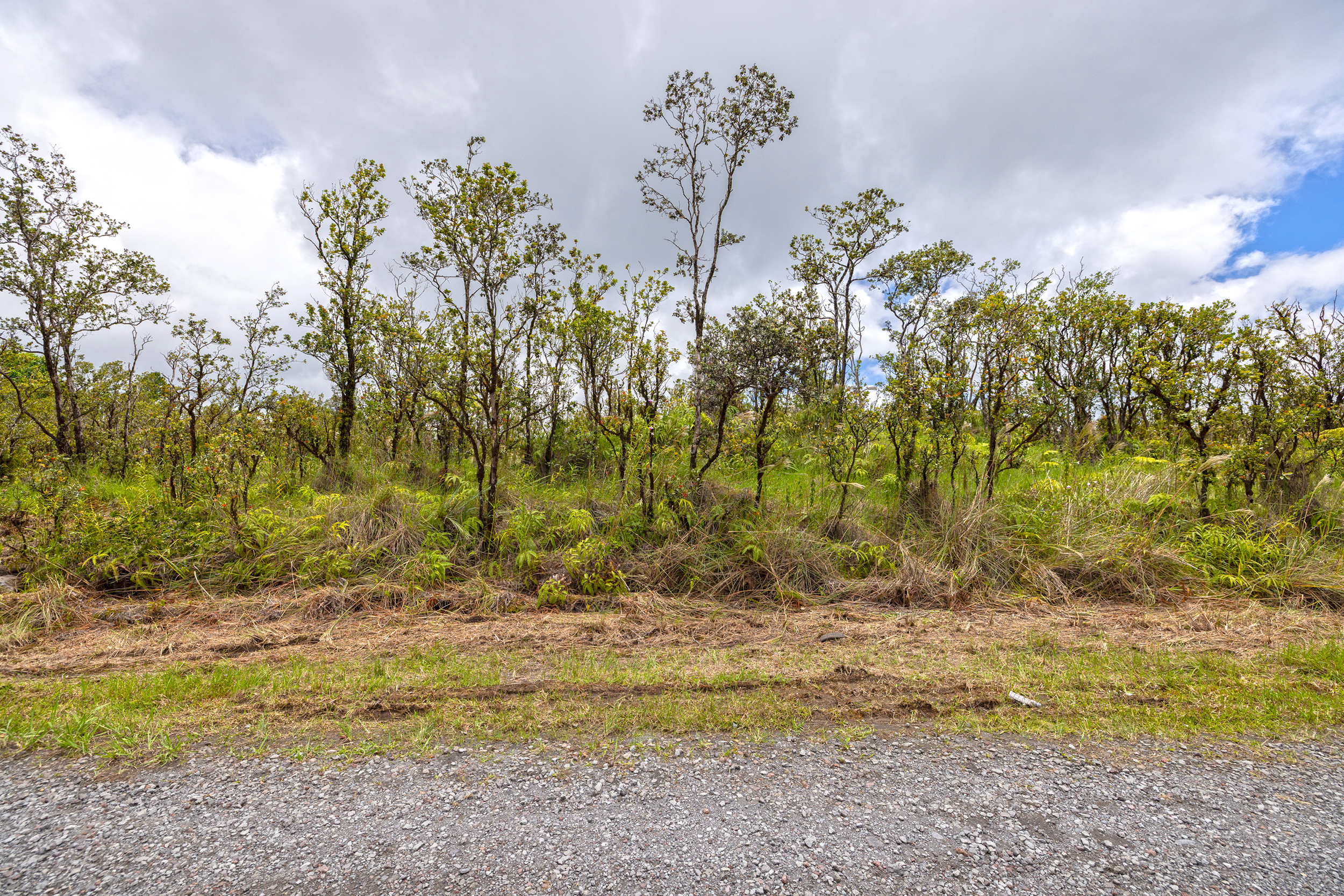 Omeka Rd Property Photo 4