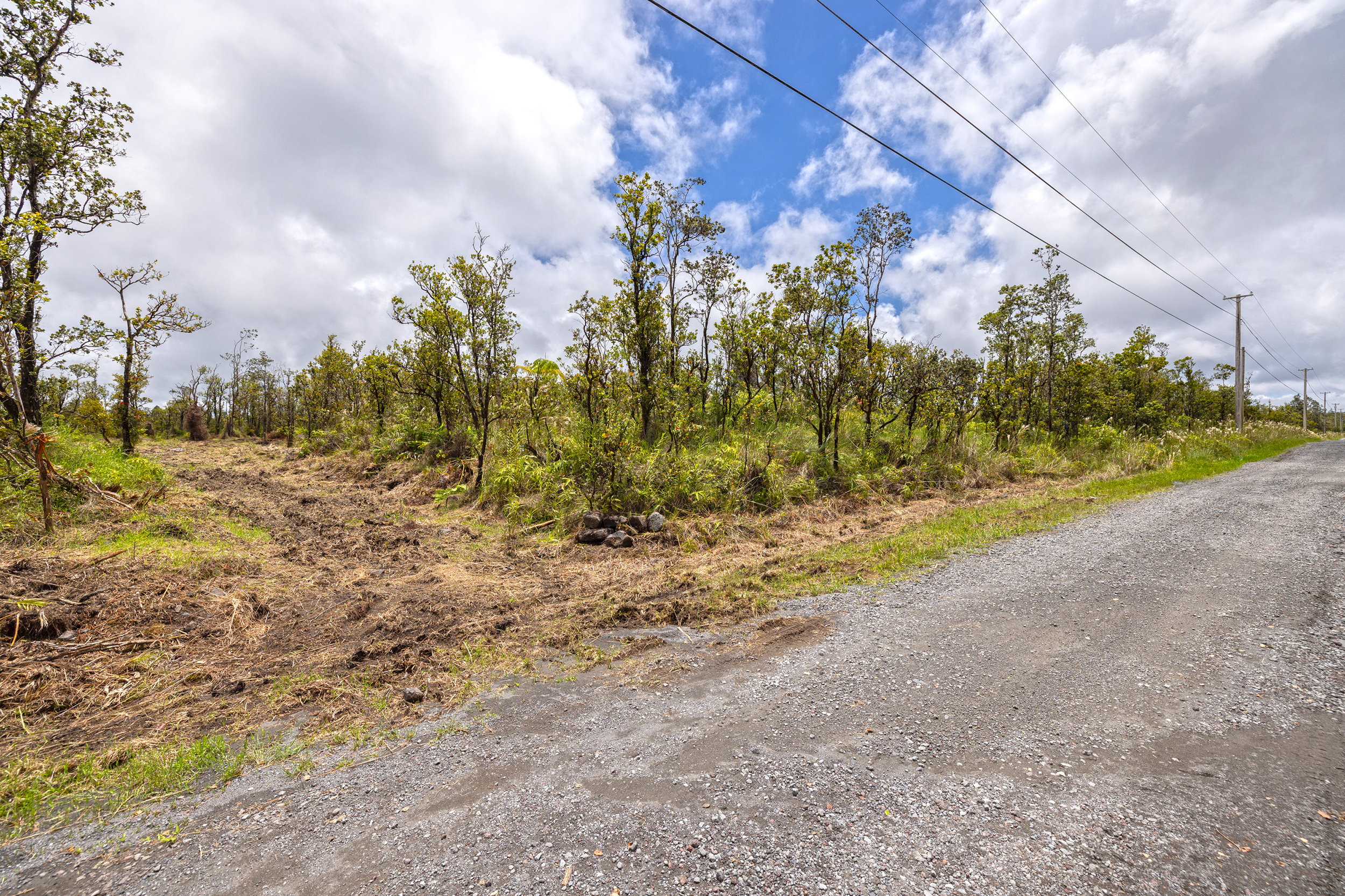 Omeka Rd Property Photo 5