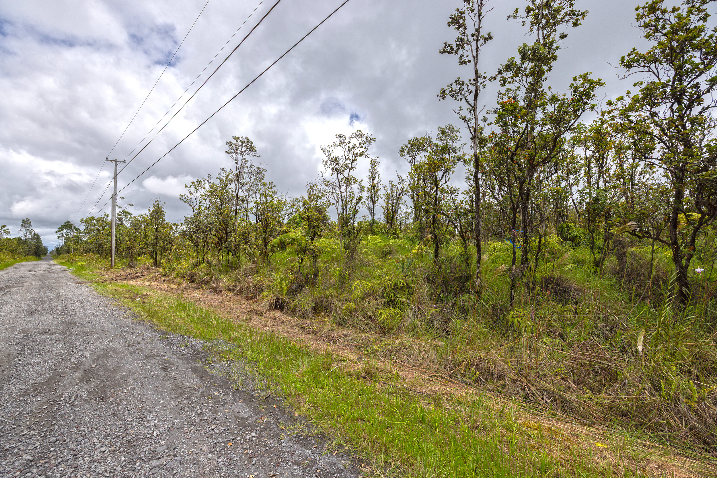 Omeka Rd Property Photo 6