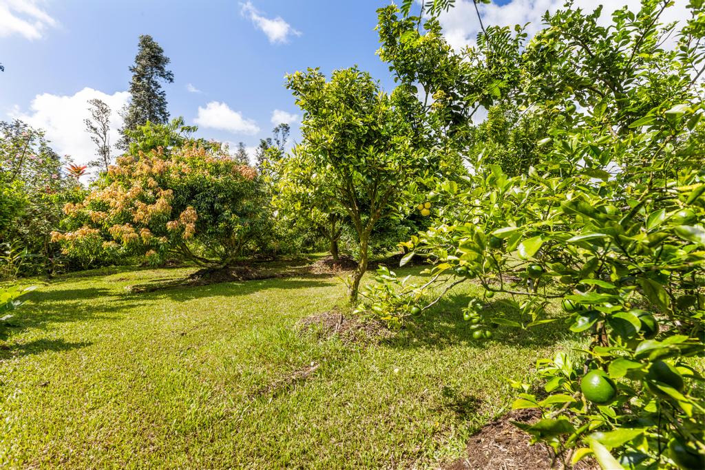 16-1151 Ao Rd (road 2) Property Photo 21