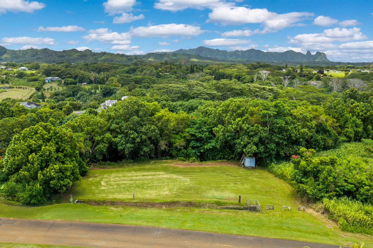 Hauiki Rd Property Photo 4