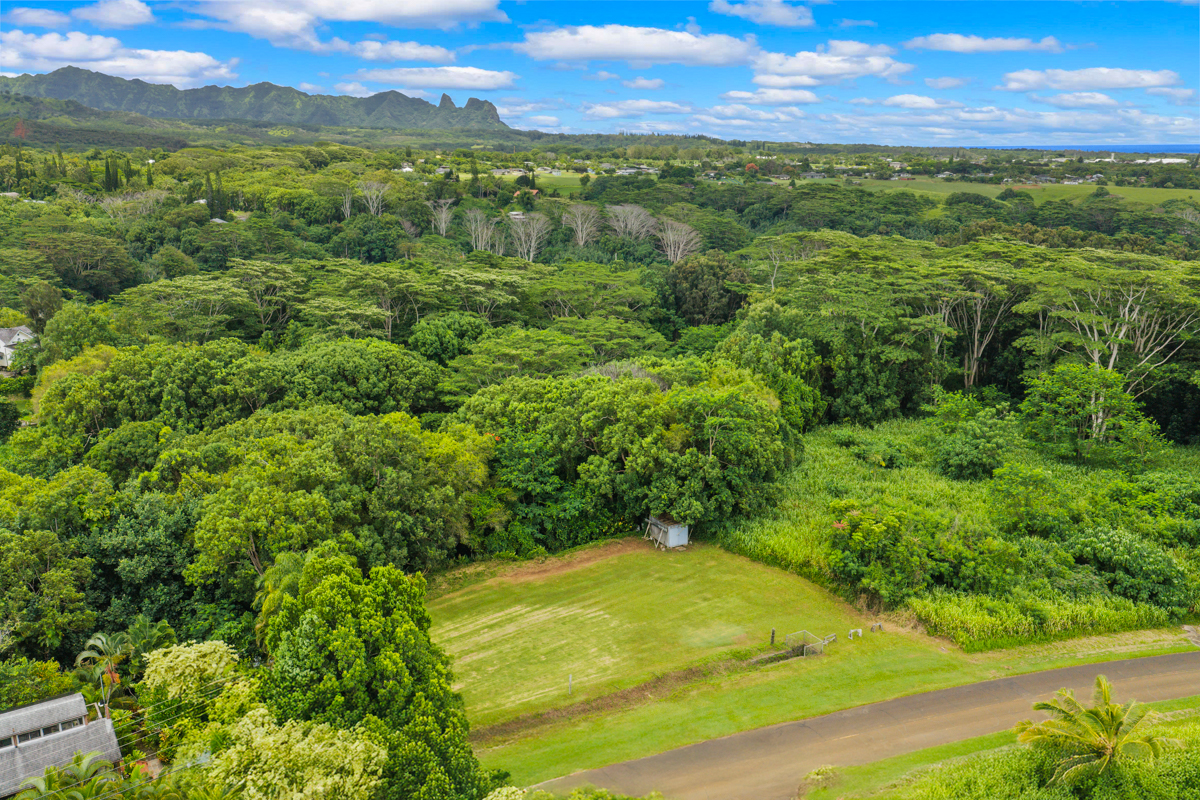 Hauiki Rd Property Photo 12