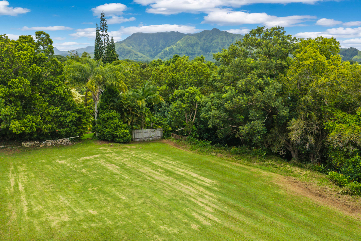 Hauiki Rd Property Photo 15