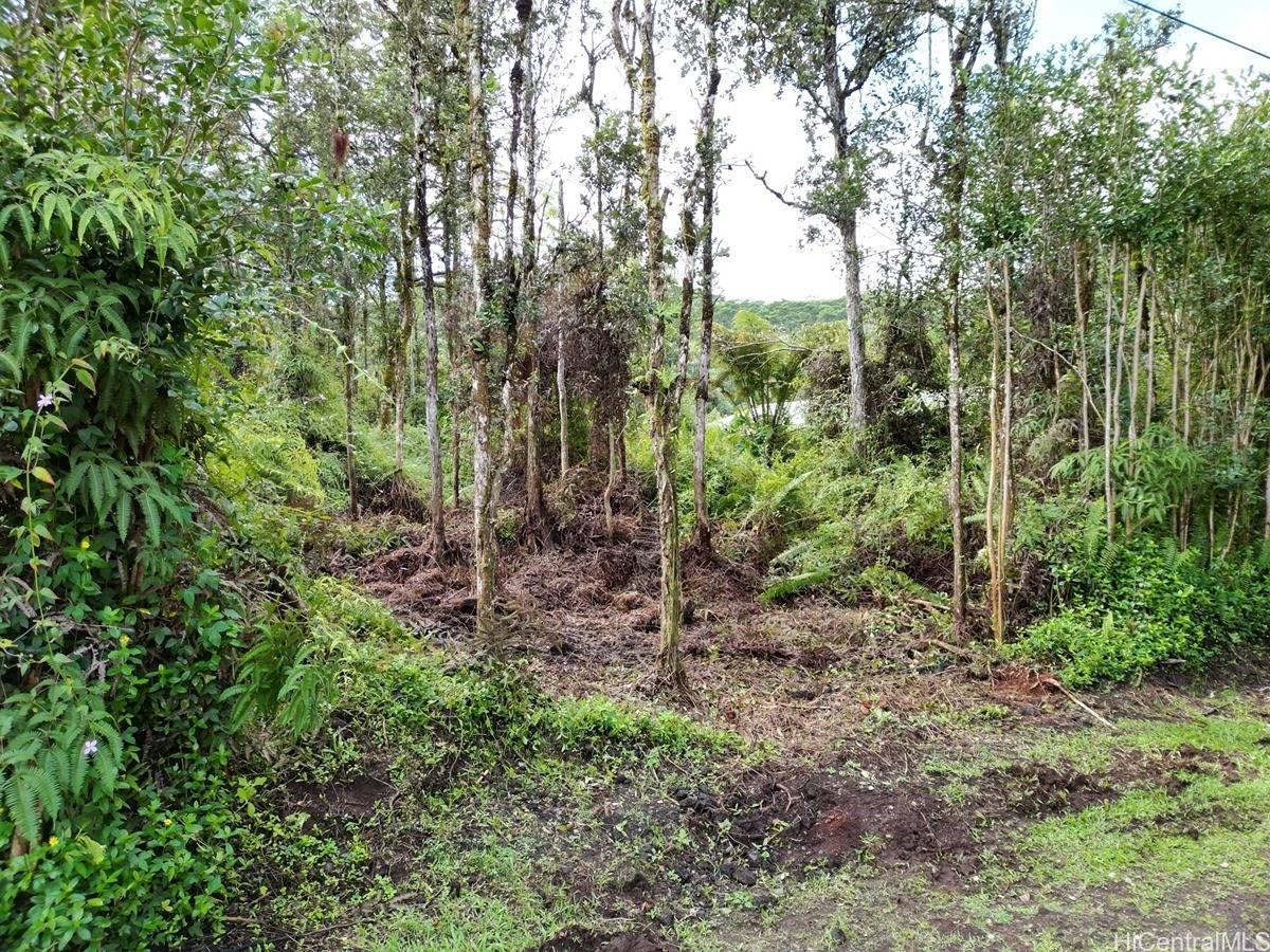 Oahu Rd 1022 Property Photo 6