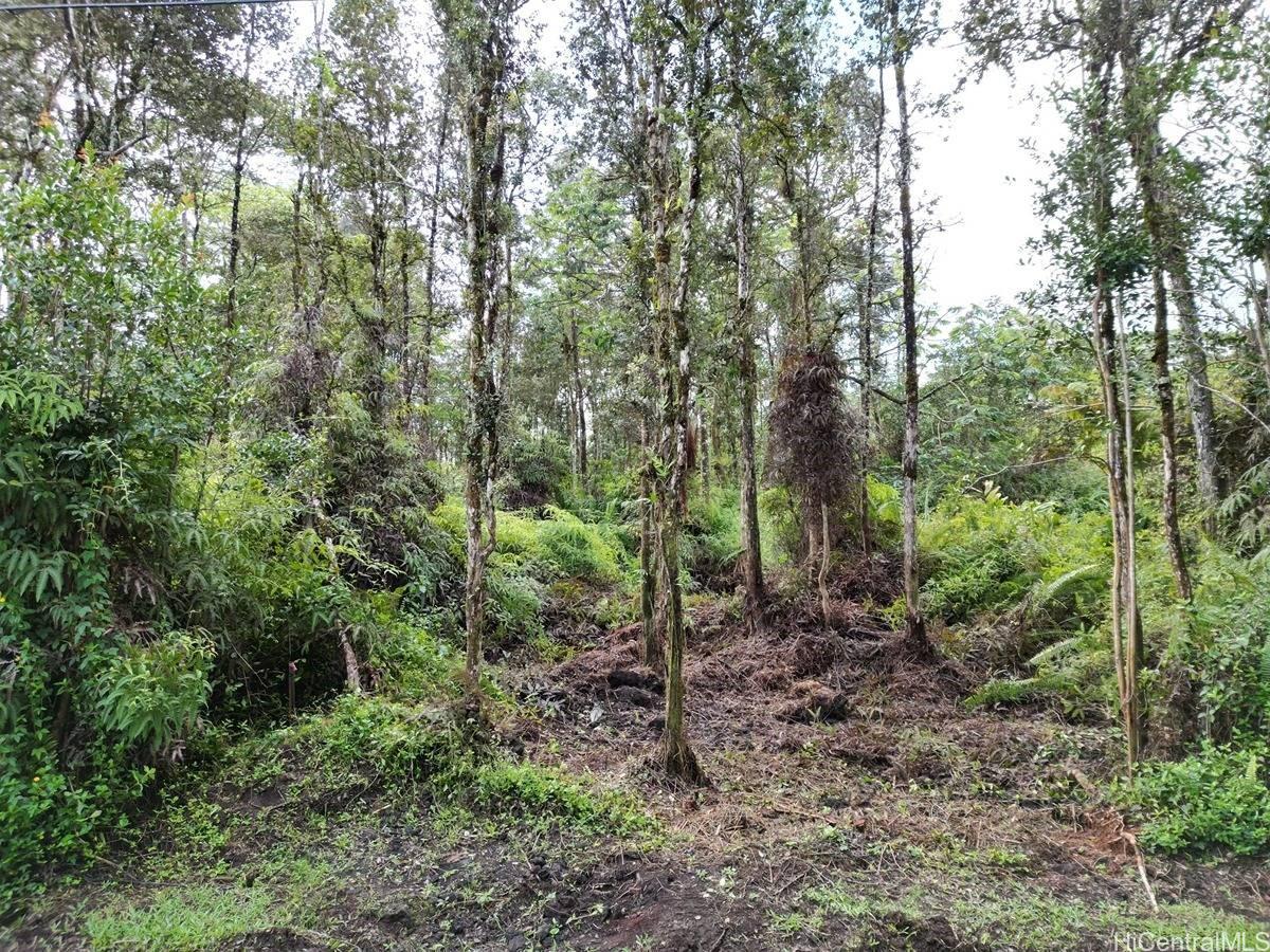 Oahu Rd 1022 Property Photo 12