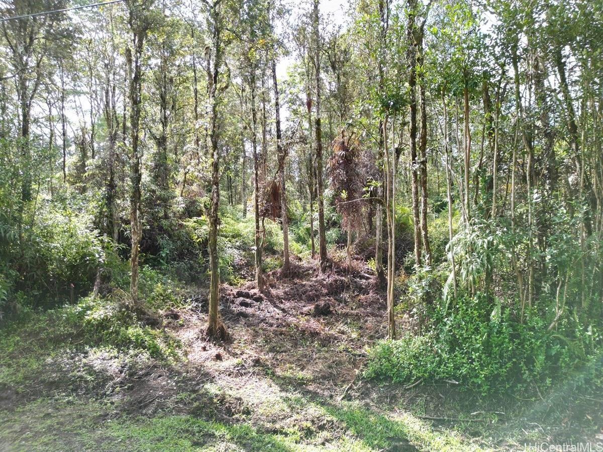 Oahu Rd 1022 Property Photo 15