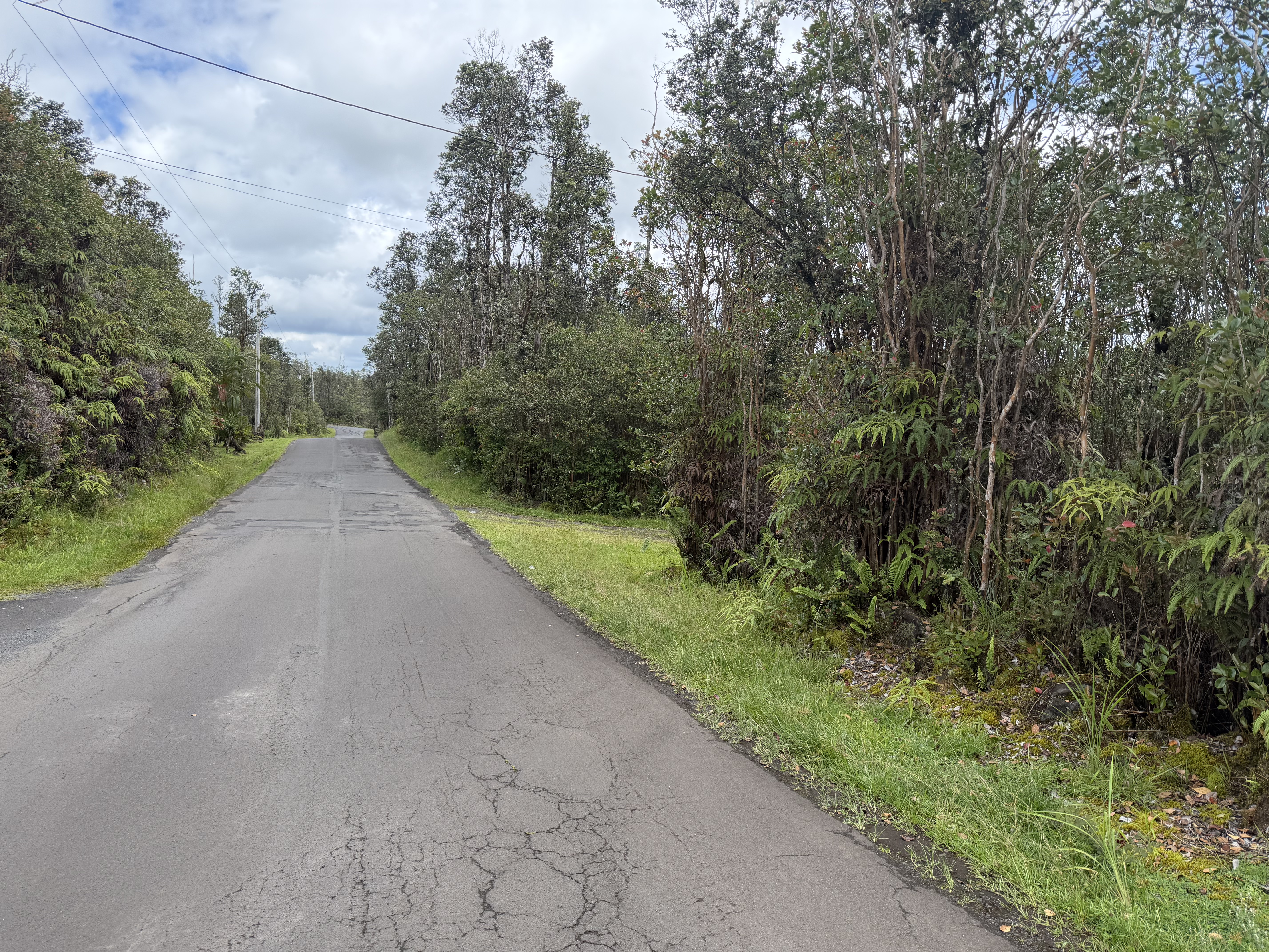 Hibiscus St Property Photo 2
