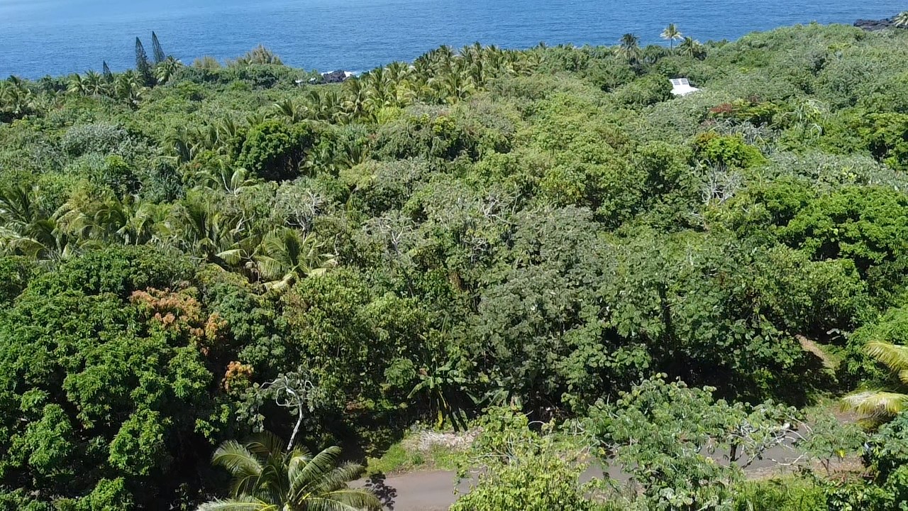 14-3755 Government Beach Rd Property Photo 4