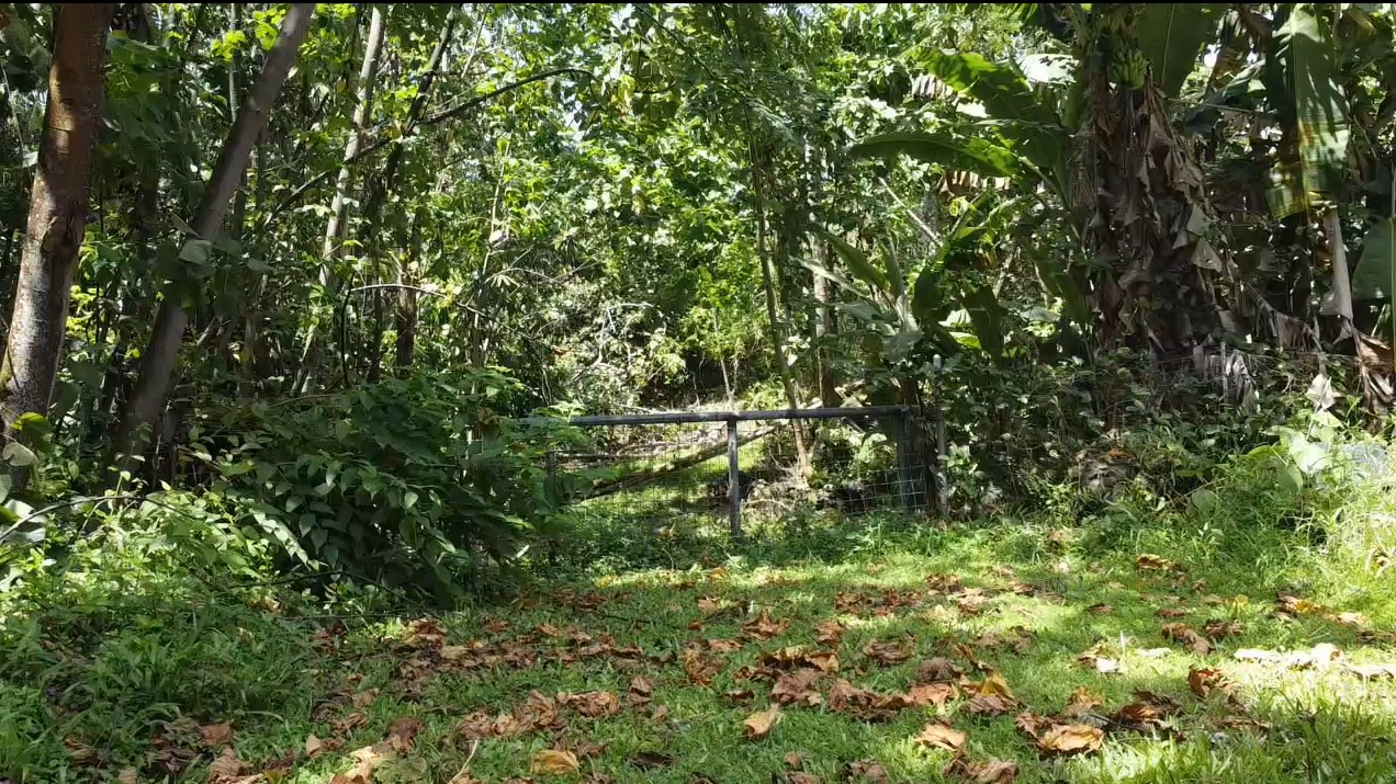 14-3755 Government Beach Rd Property Photo 6
