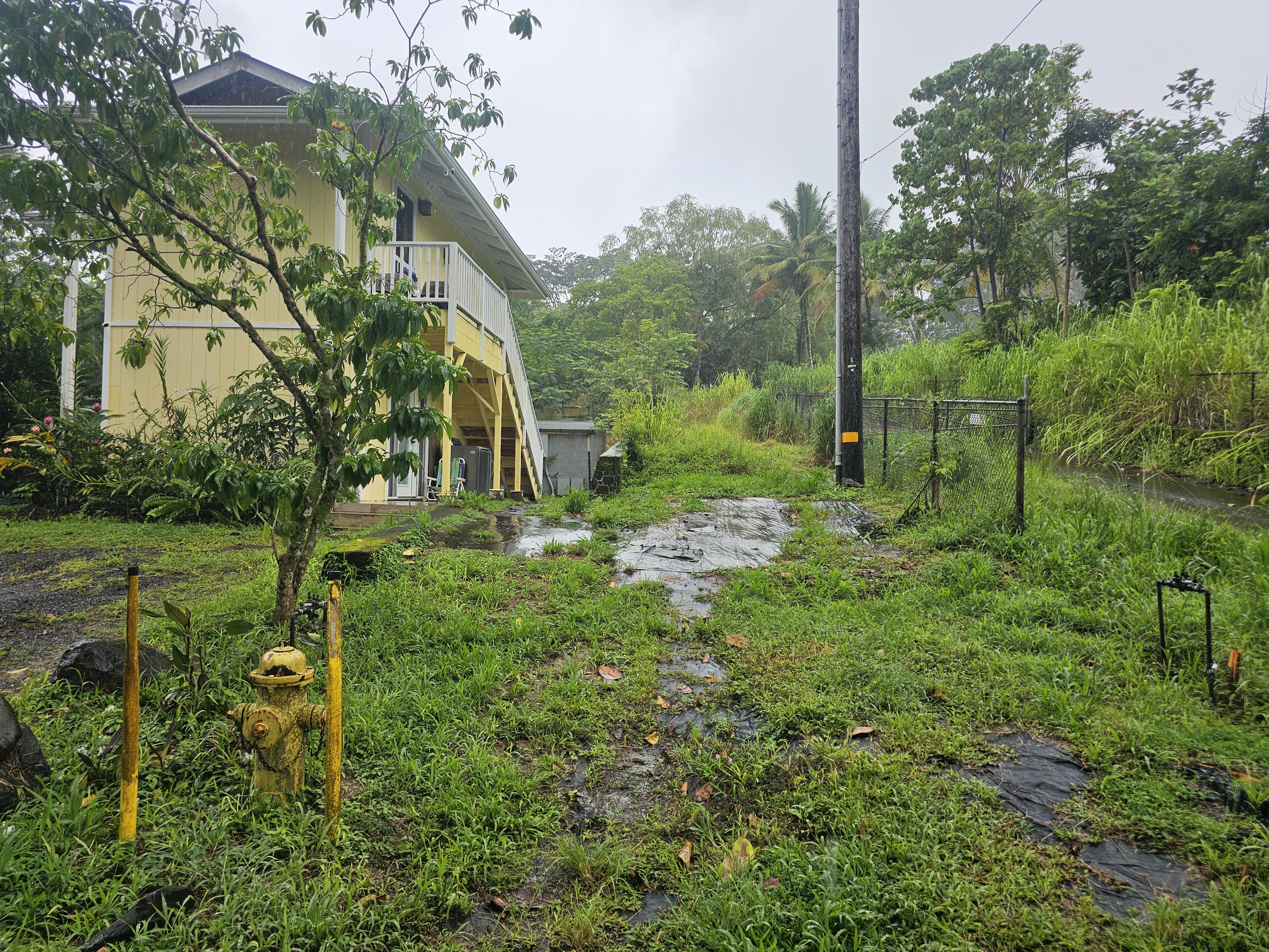 289 Wainaku St Property Photo 13