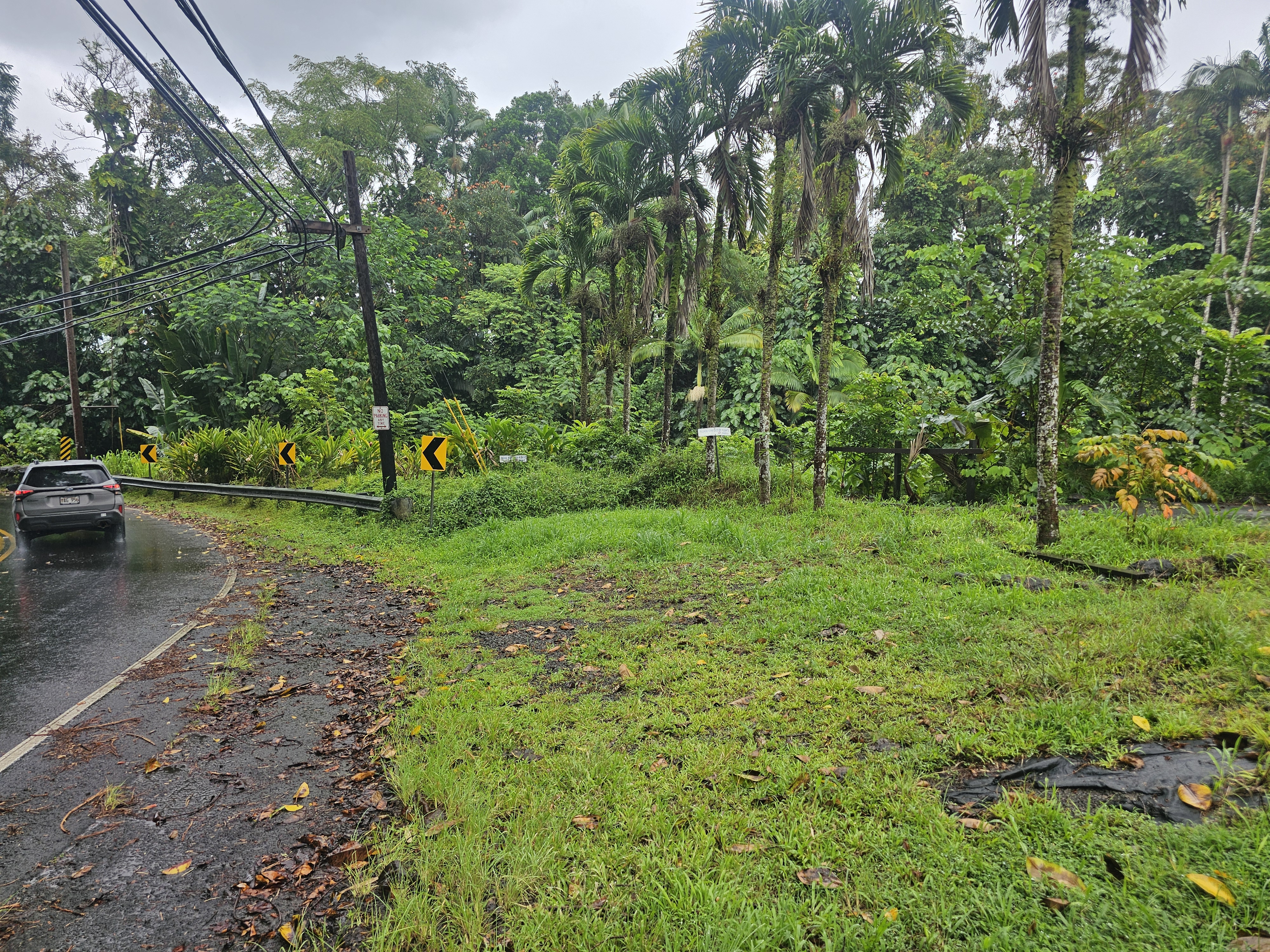 289 Wainaku St Property Photo 14