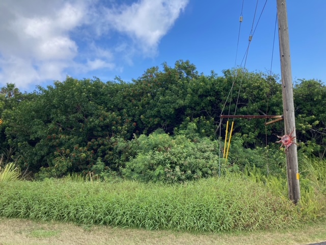 Kaulua St Property Photo 1