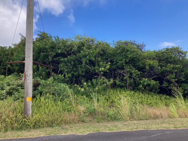 Kaulua St Property Photo 2