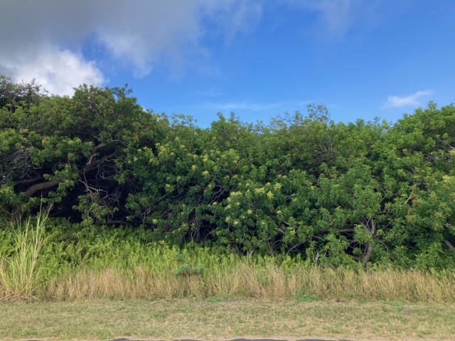 Kaulua St Property Photo 4