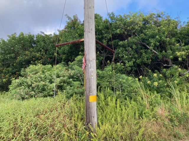 Kaulua St Property Photo 6
