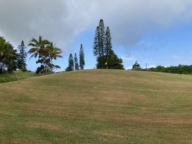 Kaulua St Property Photo 7