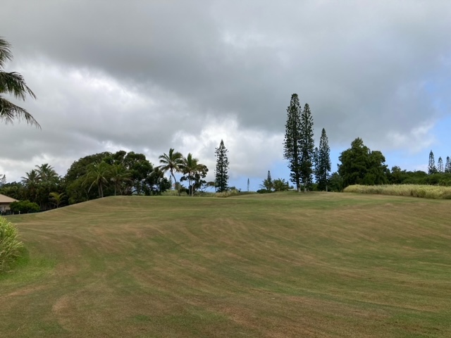Kaulua St Property Photo 8
