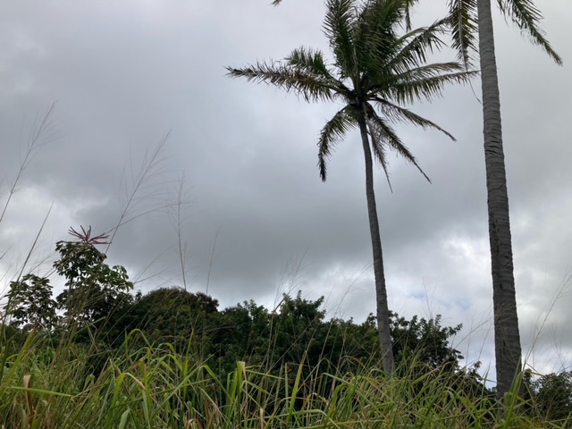 Kaulua St Property Photo 9