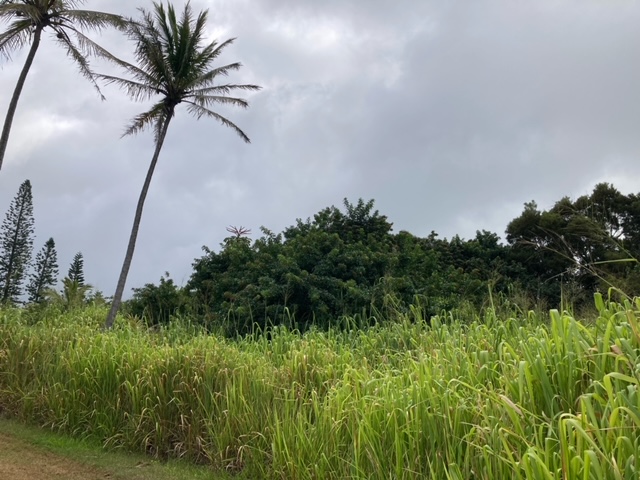 Kaulua St Property Photo 10