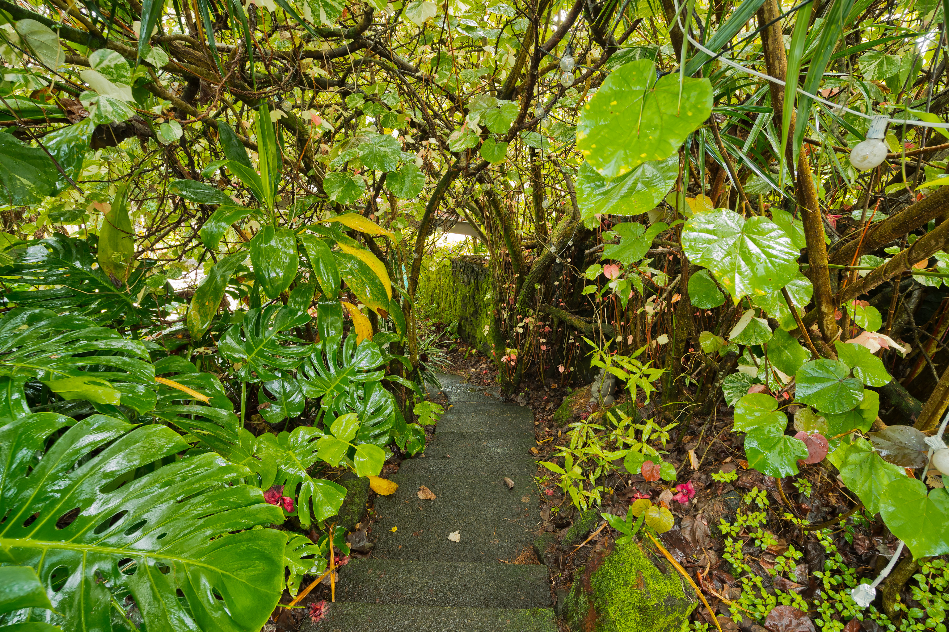 16-1381 Pohaku Circle Property Photo 20