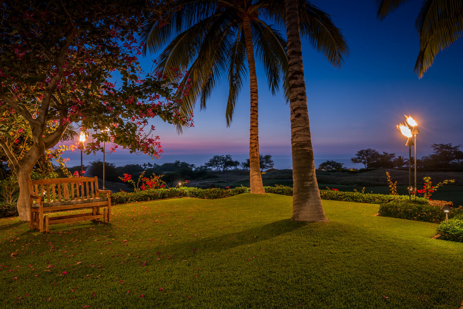 62-4014 Moani Pikake Pl Property Photo 23