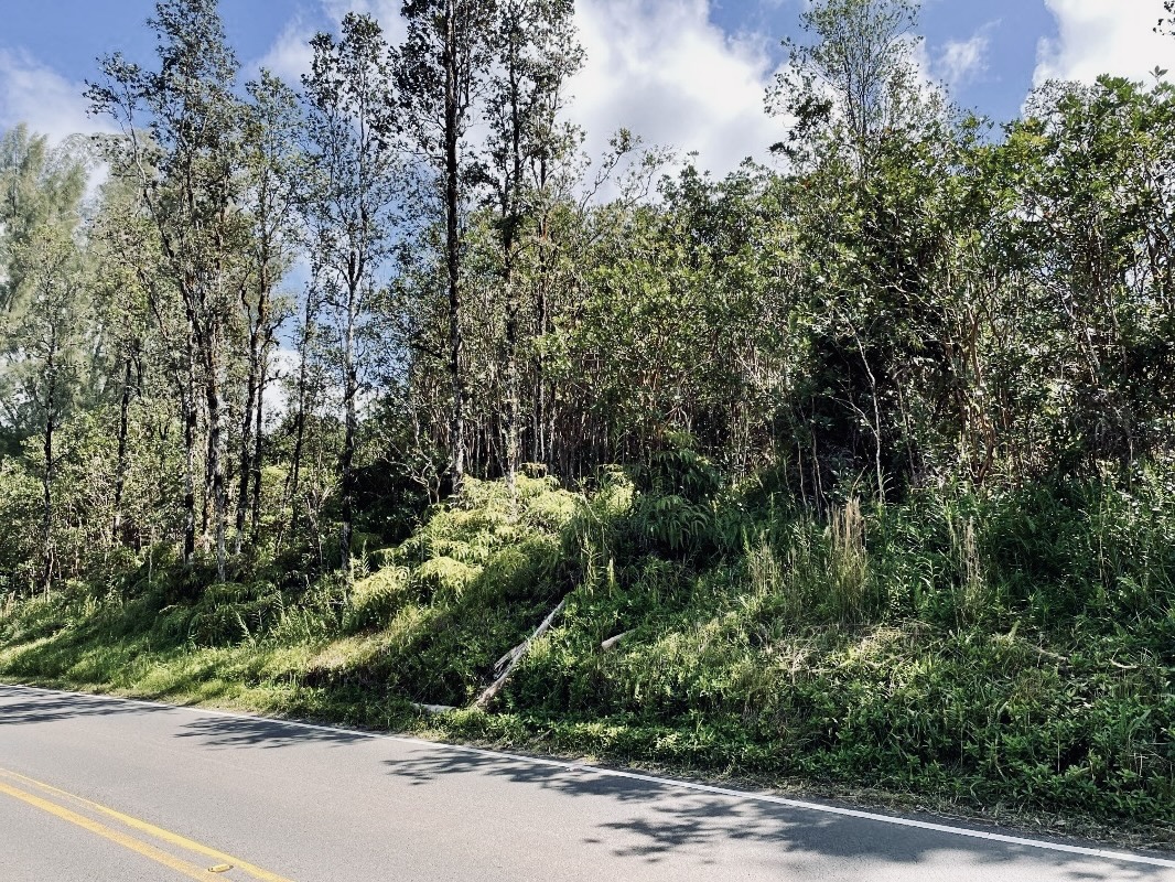 Road 8 (moho) Property Photo 2
