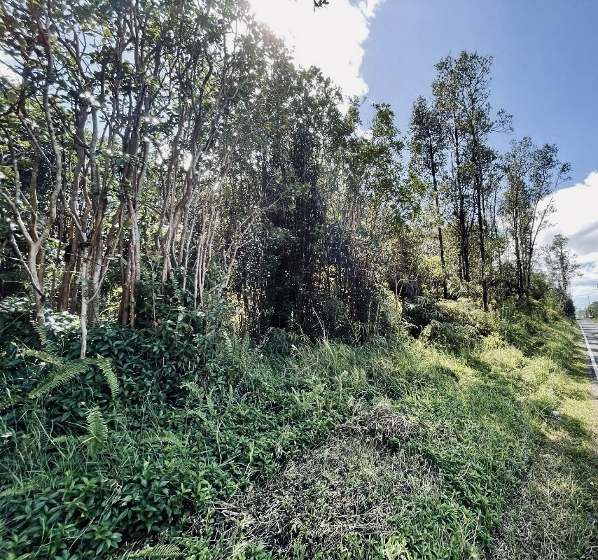 Road 8 (moho) Property Photo 3