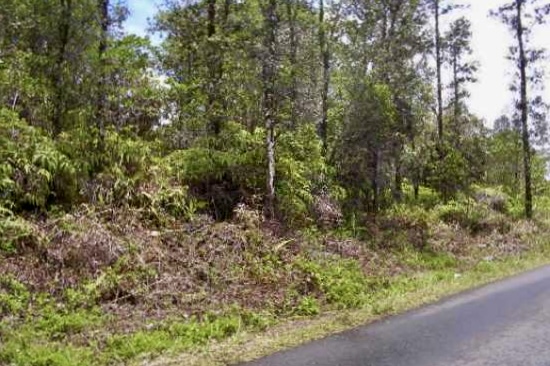 Road 8 (moho) Property Photo 4