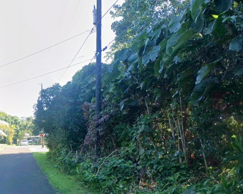 Opihi St Property Photo 3