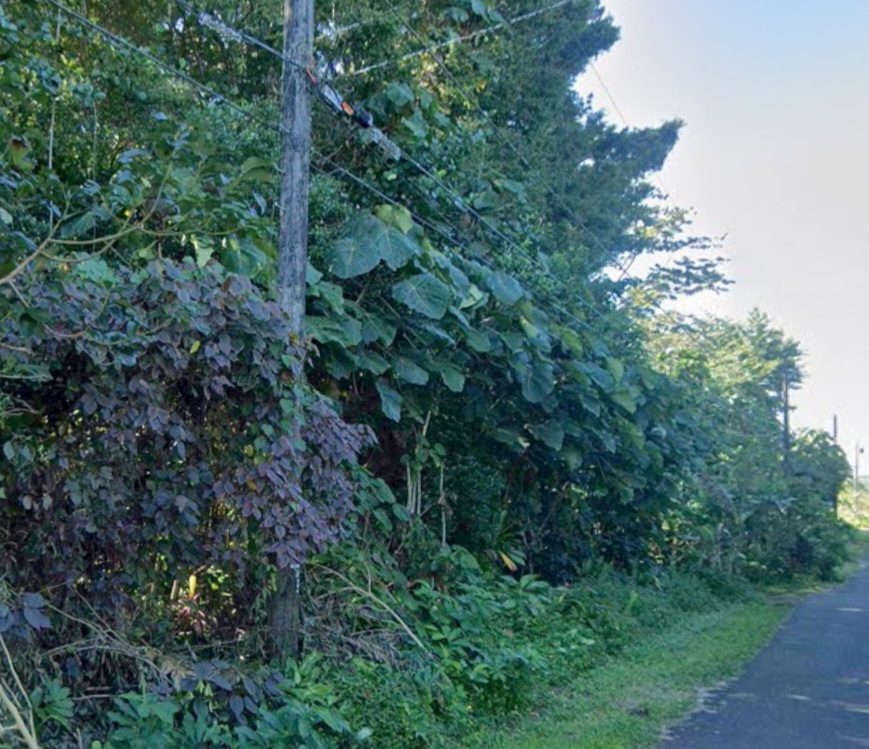Opihi St Property Photo 4