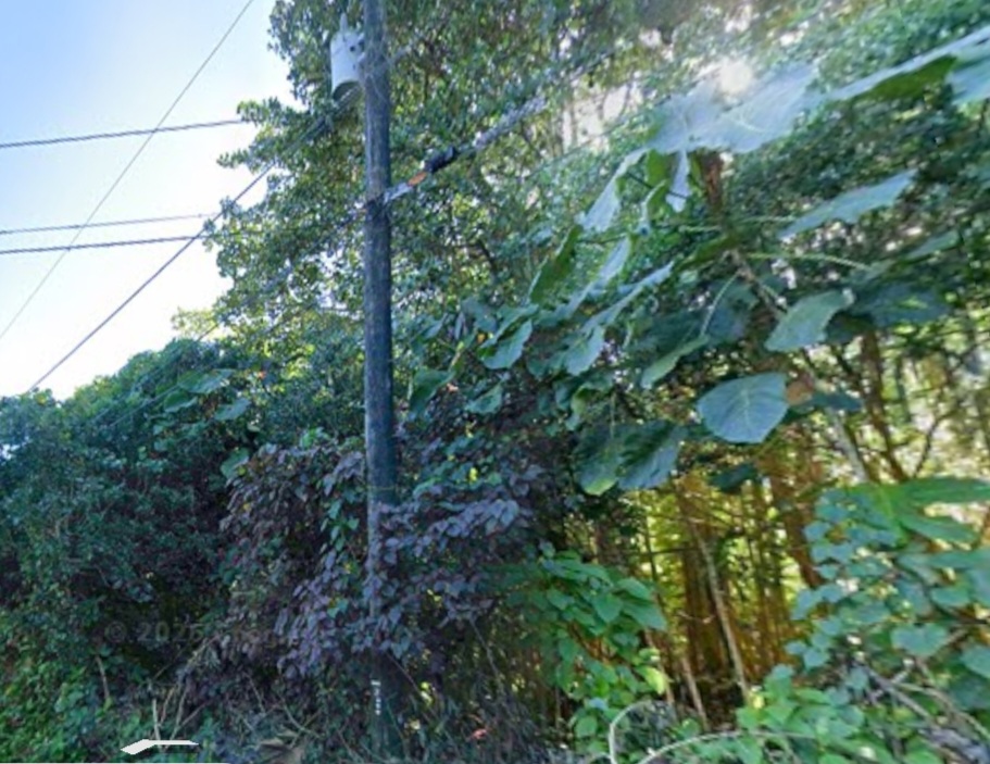 Opihi St Property Photo 5