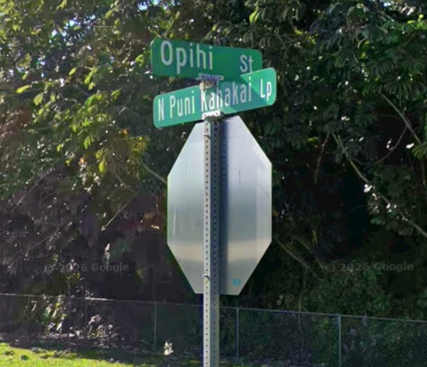 Opihi St Property Photo 7