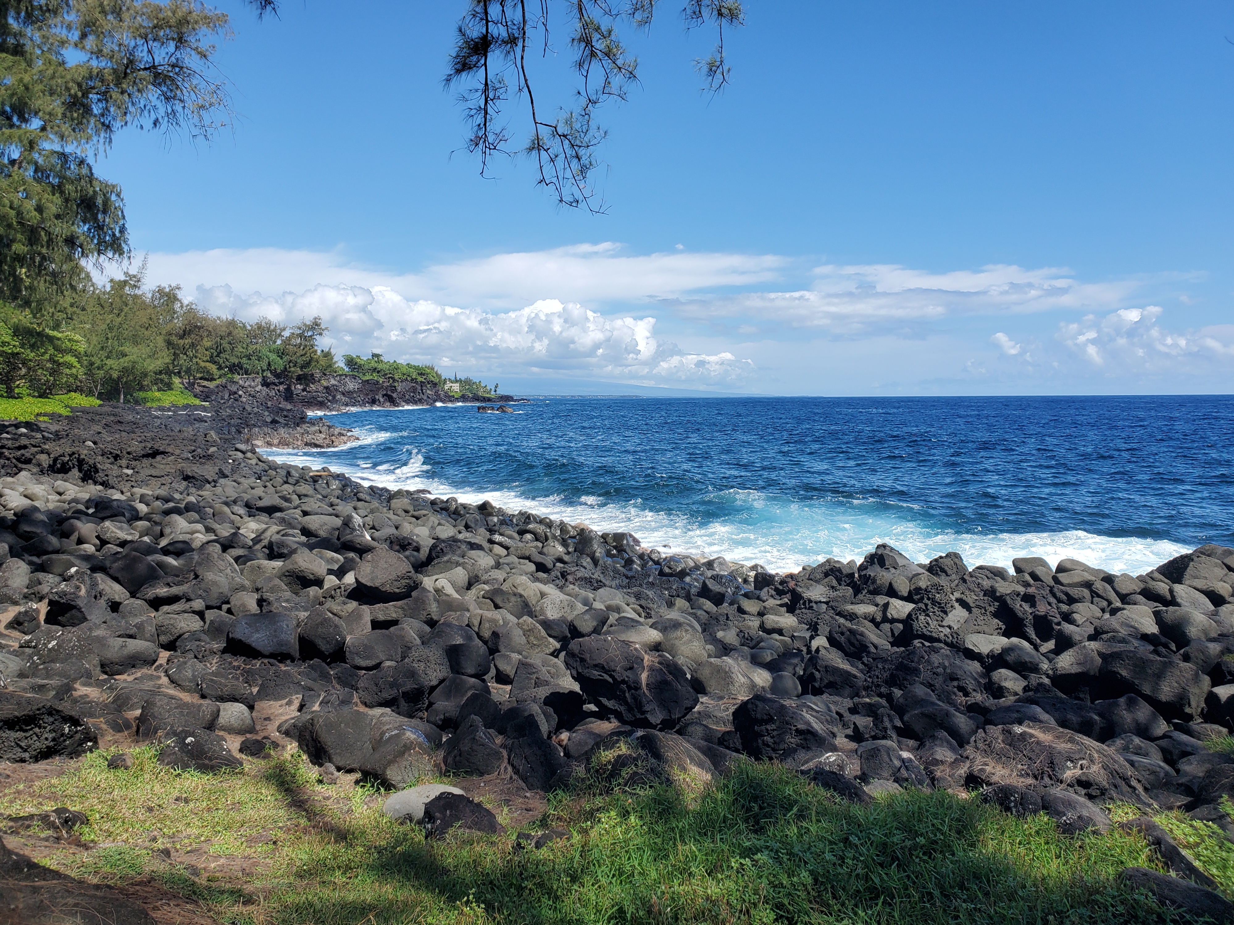 Opihi St Property Photo 13