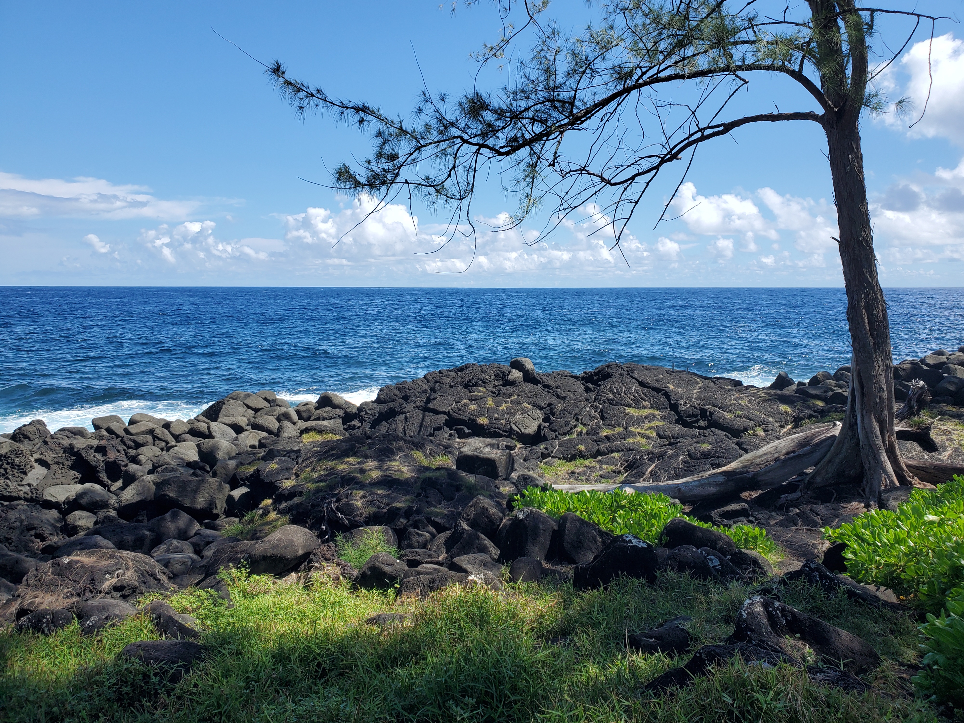 Opihi St Property Photo 14